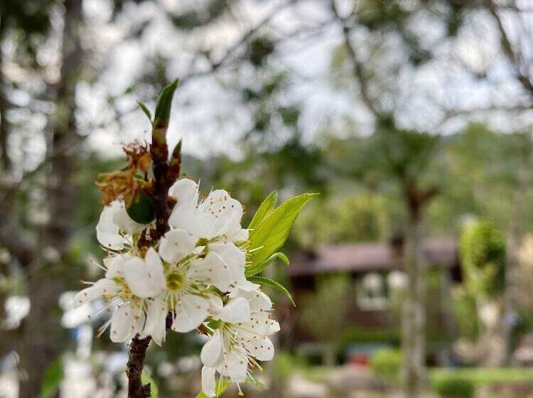 تختخواب و صبحانه Mei Zhi Lin Holiday Homestay