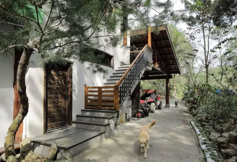 تختخواب و صبحانه Nine Trees Forest House