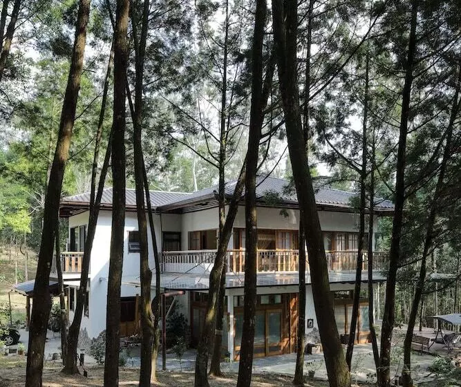 تختخواب و صبحانه Nine Trees Forest House