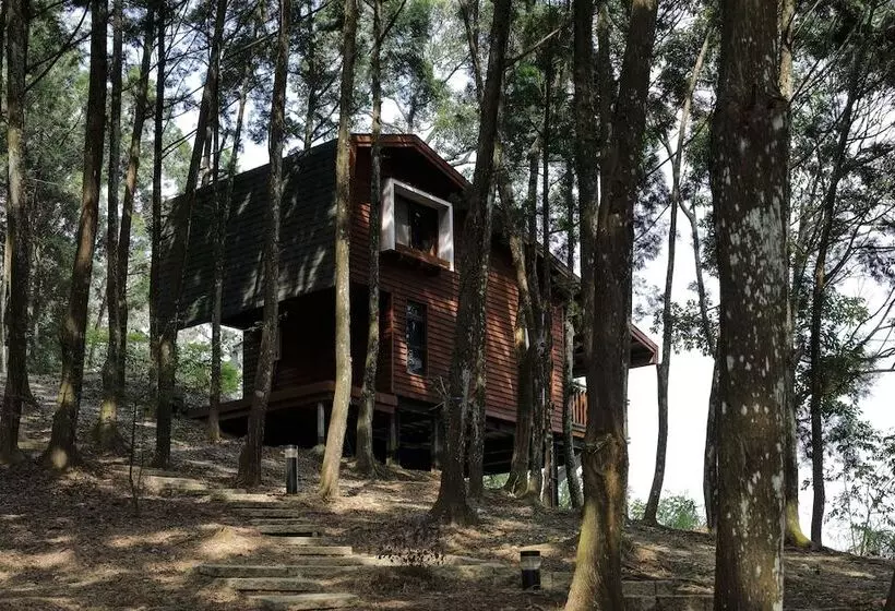 تختخواب و صبحانه Nine Trees Forest House