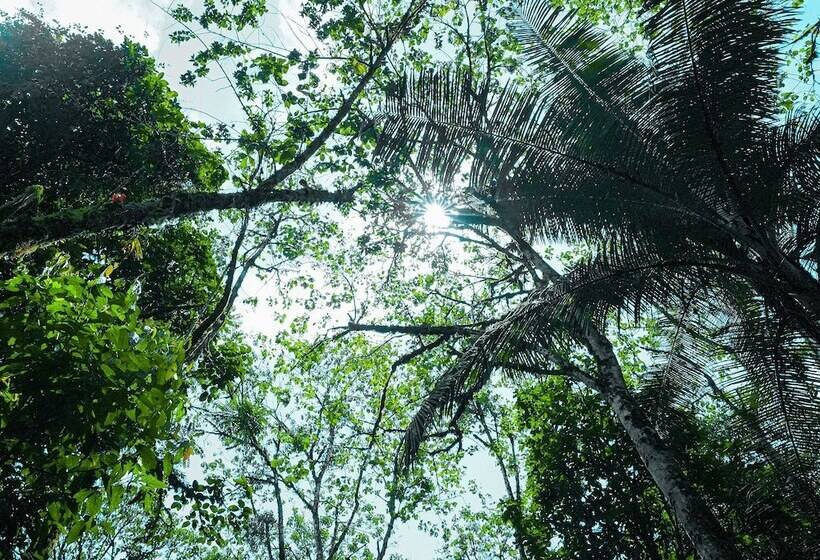 Szálloda Casa De Vista Alta