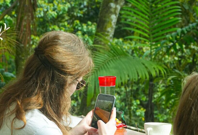 Szálloda Casa De Vista Alta