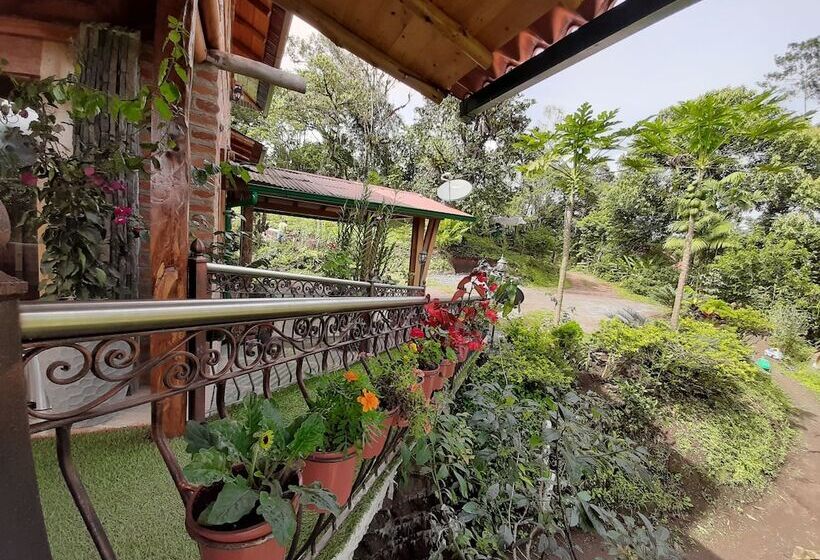 Szálloda Casa De Vista Alta