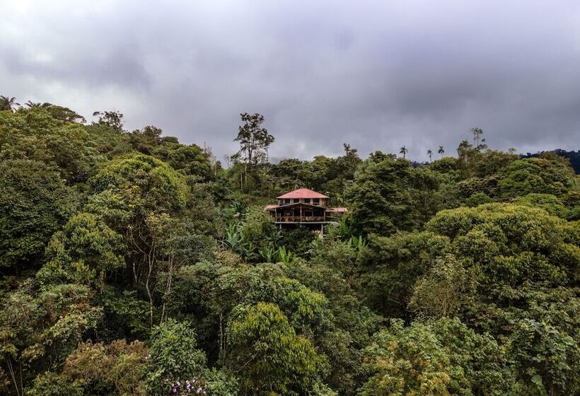 Szálloda Casa De Vista Alta