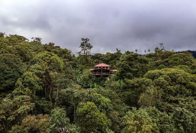 ホテル Casa De Vista Alta