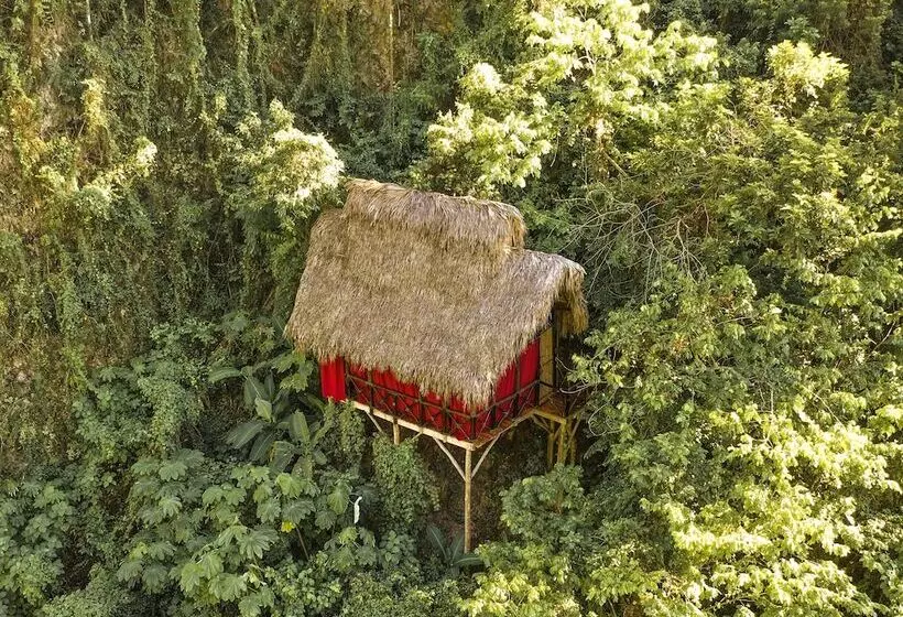 هتل Dominican Tree House