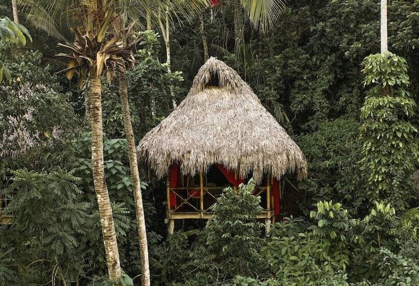 هتل Dominican Tree House