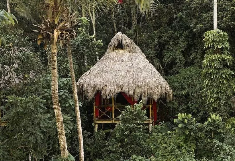 هتل Dominican Tree House