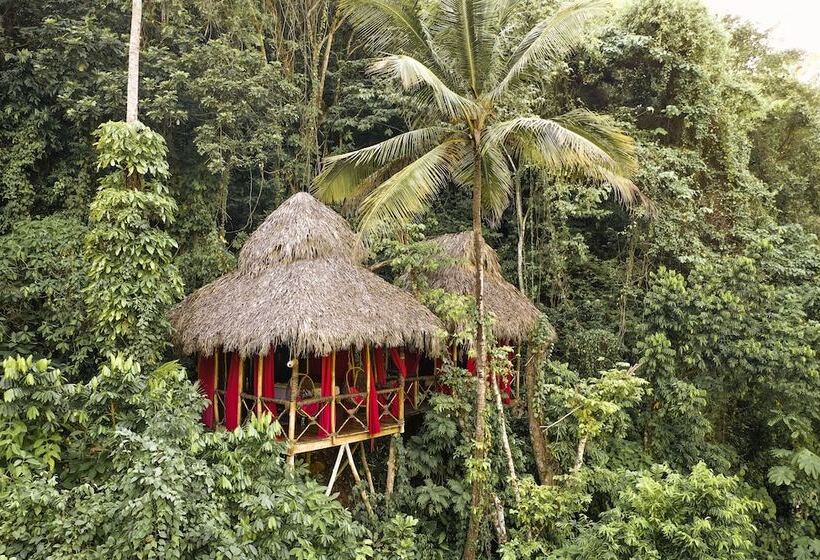 هتل Dominican Tree House