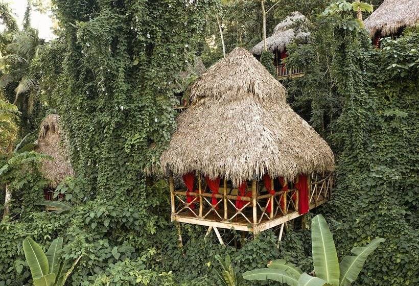 هتل Dominican Tree House