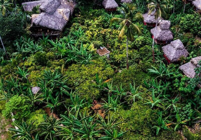 هتل Dominican Tree House