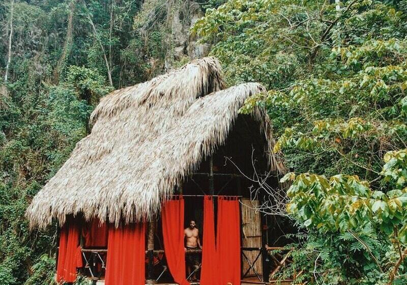 هتل Dominican Tree House