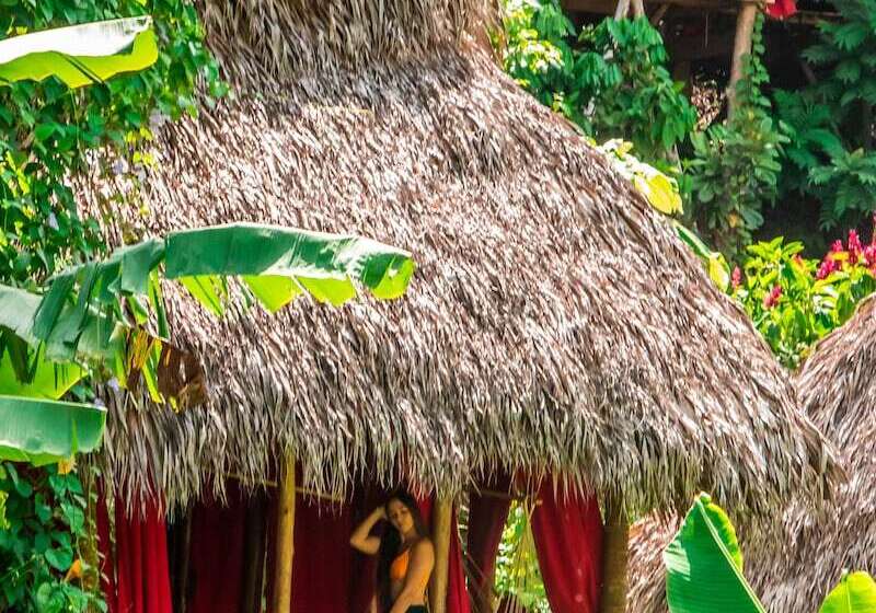 هتل Dominican Tree House