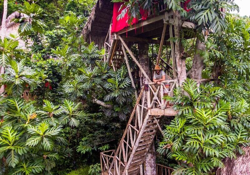 هتل Dominican Tree House
