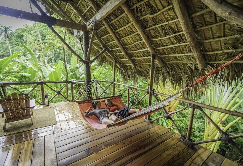 هتل Dominican Tree House