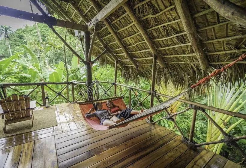 هتل Dominican Tree House