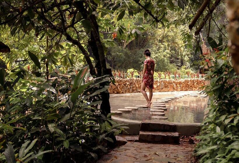 هتل Dominican Tree House