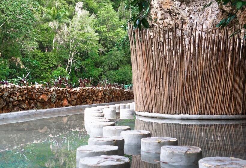 هتل Dominican Tree House