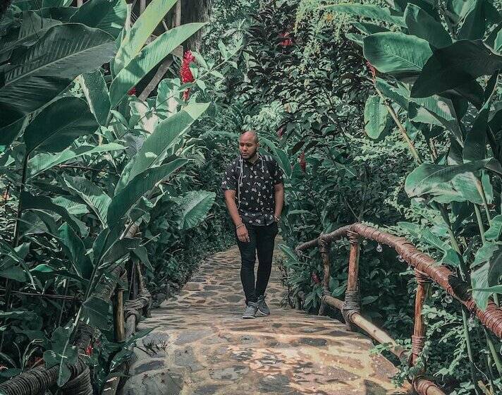 هتل Dominican Tree House