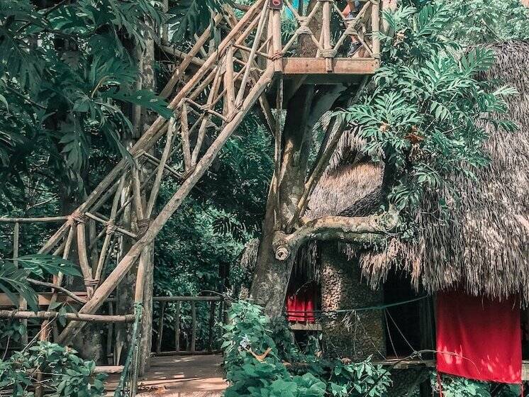 هتل Dominican Tree House