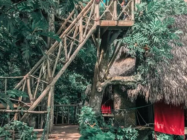 هتل Dominican Tree House