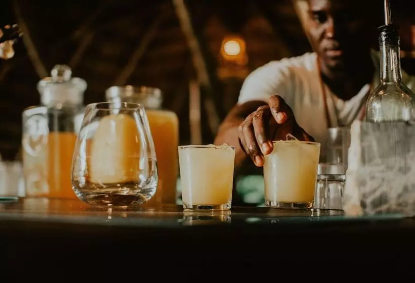 هتل Dominican Tree House