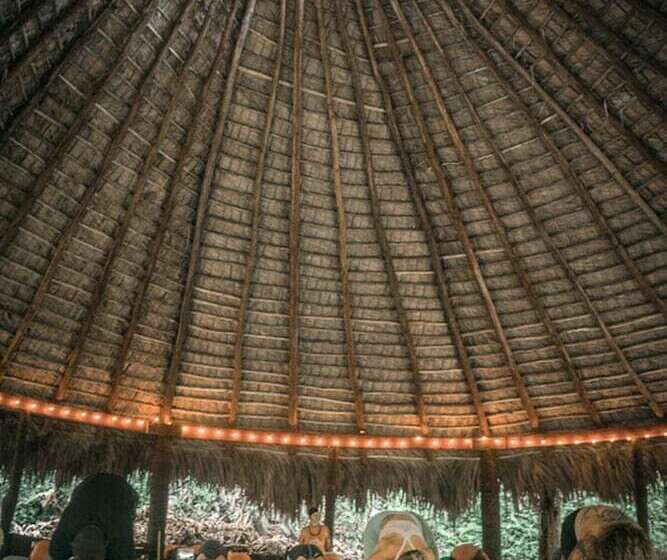 هتل Dominican Tree House