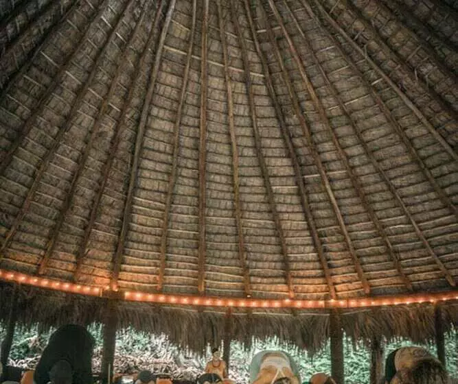 هتل Dominican Tree House