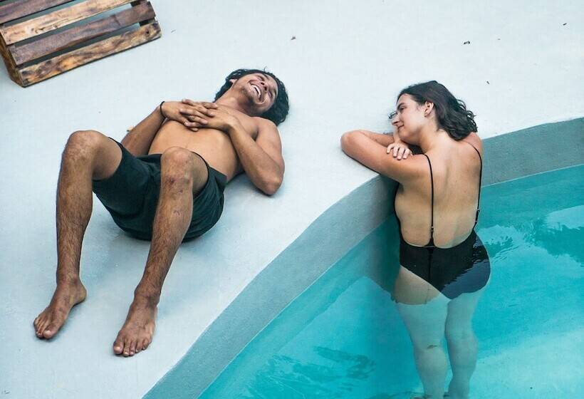 هتل Dominican Tree House