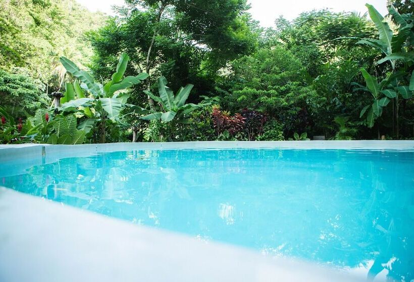 هتل Dominican Tree House