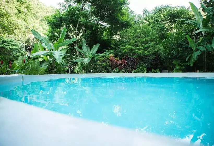 هتل Dominican Tree House