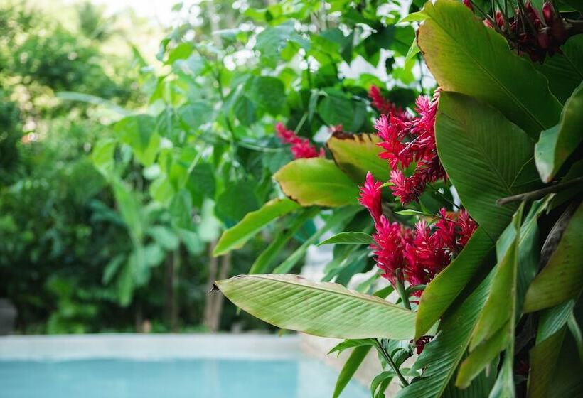 هتل Dominican Tree House