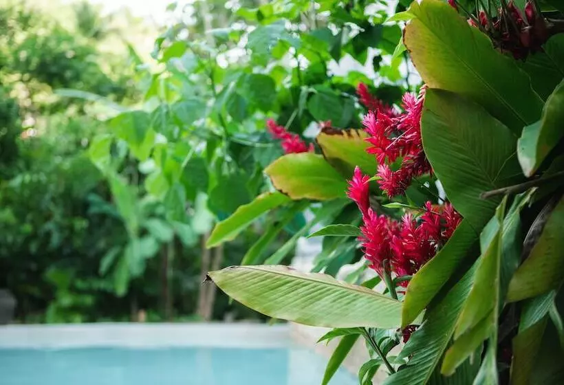 هتل Dominican Tree House