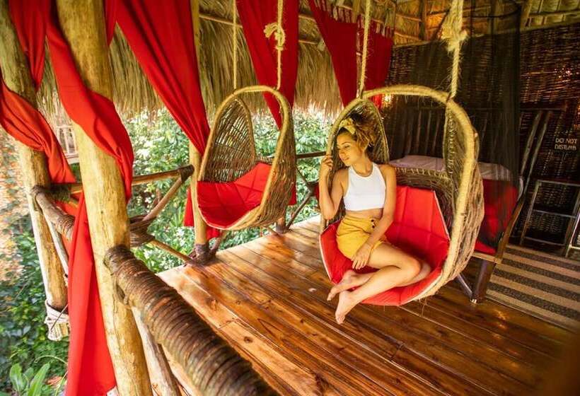 هتل Dominican Tree House