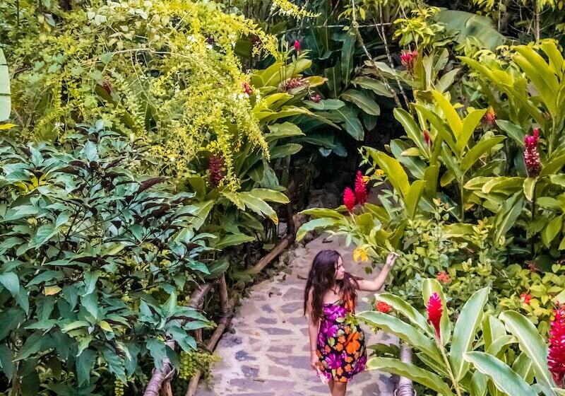 هتل Dominican Tree House