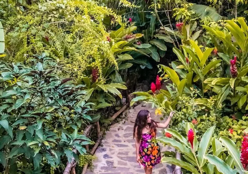 هتل Dominican Tree House