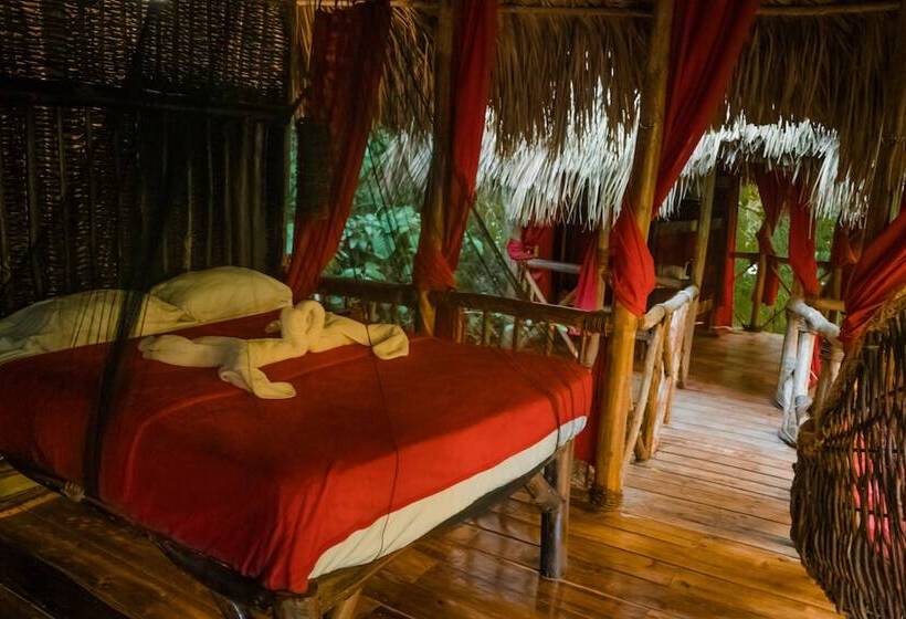 هتل Dominican Tree House