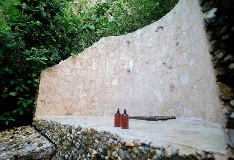 هتل Dominican Tree House