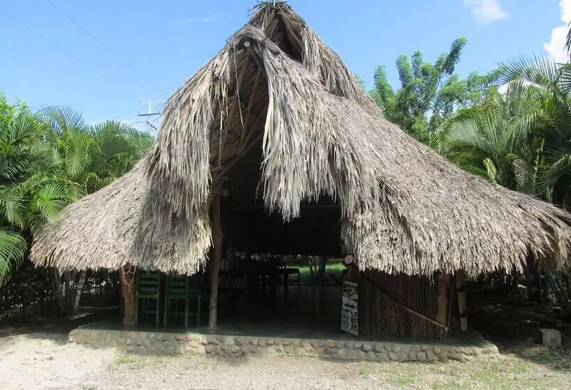 ホテル Ecogarden Cabanas Ecologicas