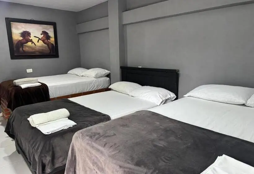Hotelli Hostal Nuevo Sol Y Viento