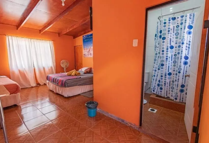ホテル Hostal Nuevo Sol Y Viento