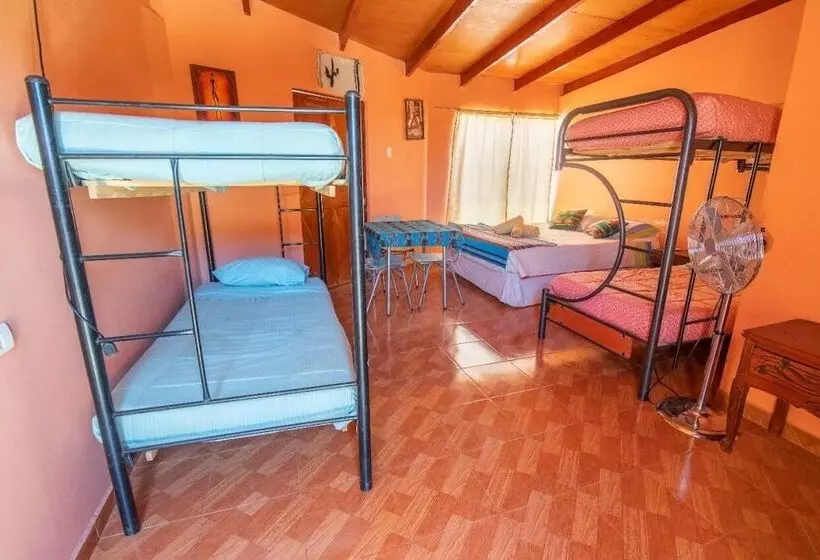 ホテル Hostal Nuevo Sol Y Viento