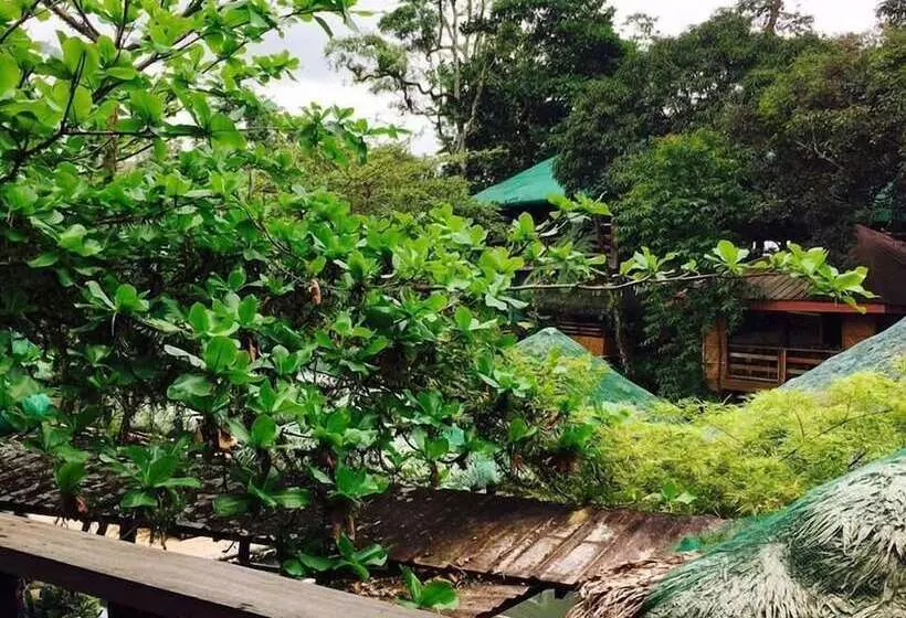 Kamayan Sa Palaisdaan Hotel And Resort