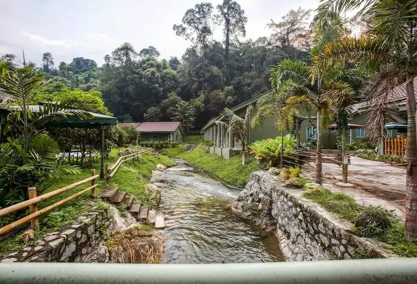 ホテル Oyo 89476 Green Villa Resort