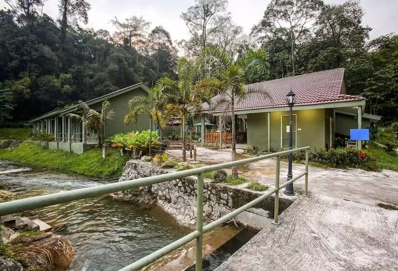 ホテル Oyo 89476 Green Villa Resort