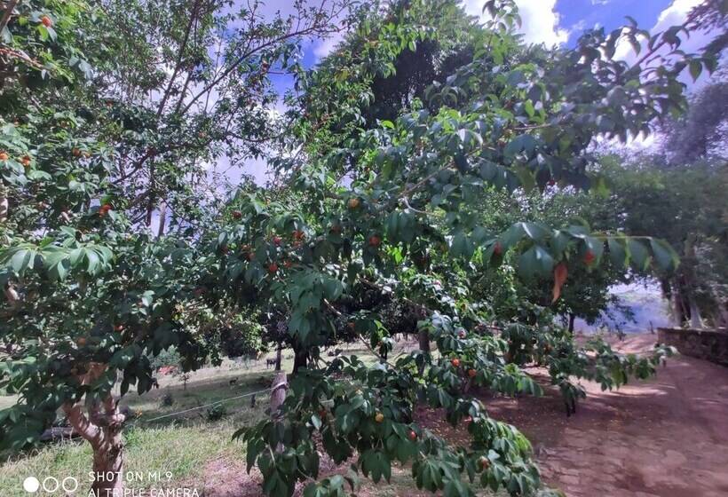 Hotel Pousada Campos Místicos