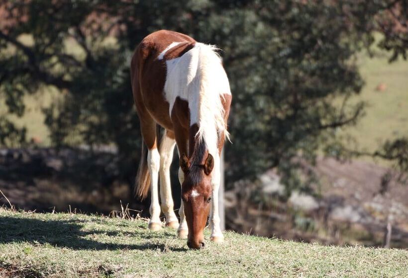 Hotel Pousada Campos Místicos