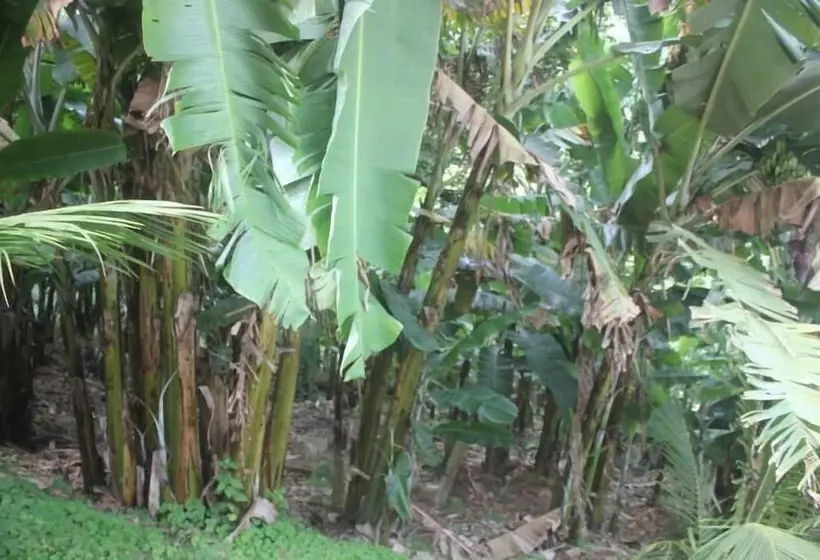 ホテル Val Paraiso Pousada