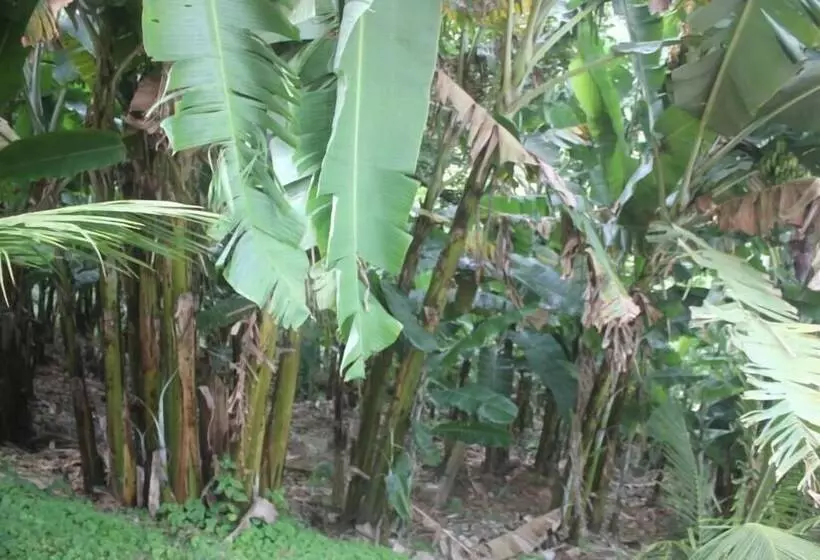 ホテル Val Paraiso Pousada