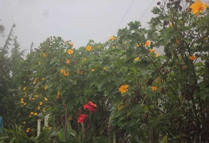 בית מלון כפרי Val Paraiso Pousada